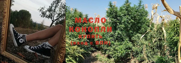 дмт Армянск