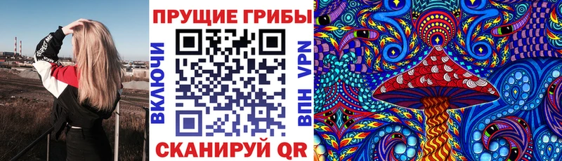 блэк спрут tor Ростов Галлюциногенные грибы GOLDEN TEACHER